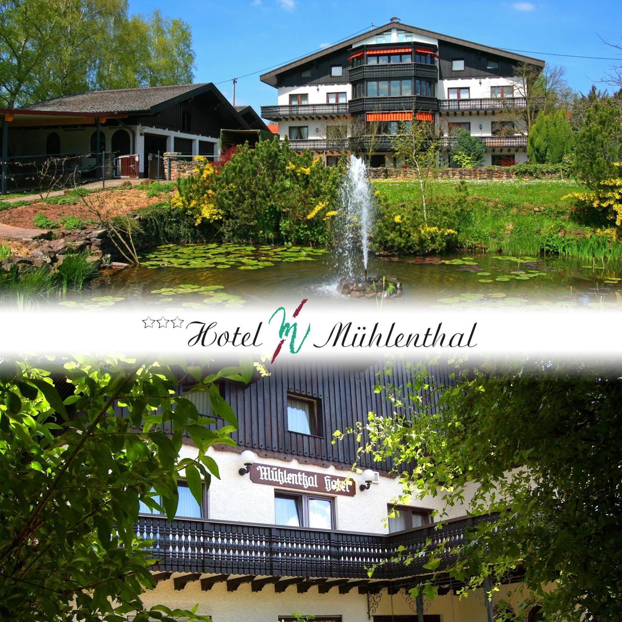 Hotel Muehlenthal Gmbh Schwalbach المظهر الخارجي الصورة